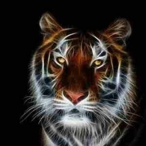 Meet your Posher, Toni